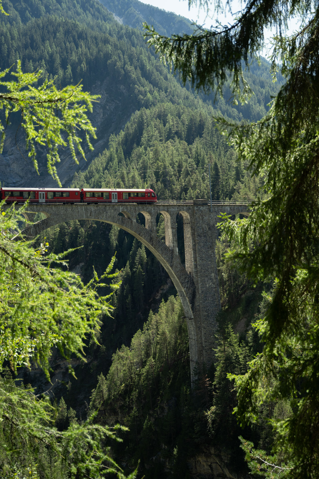 Die Rhätische Bahn, berühmt für ihre rote Farbe, fährt von der Wiesen Station über das Wiesenerviadukt in Richtung Filisur.